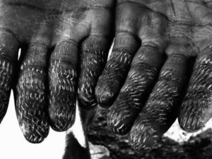 Fig. 10 (Sylvain George, 'Qu’Ils reposent en révolte', scarred hands, 00.47.10)
