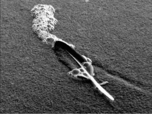 Fig. 4 (Sylvain George, 'a feather on seafoam', a song of Ethiopia)